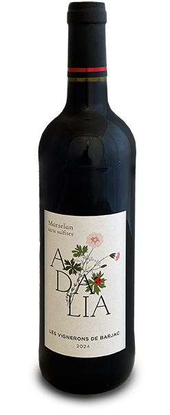IGP Adalia Coteaux d'Ardèche Marselan sans sulfites